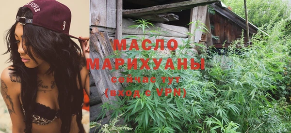 шишки Заволжье