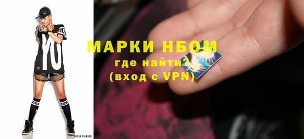 шишки Заволжье