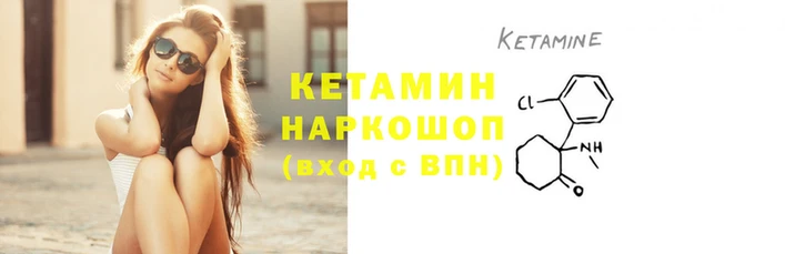 шишки Заволжье