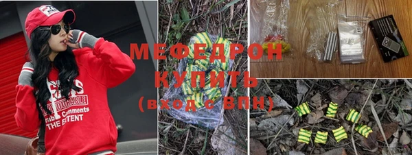 шишки Заволжье