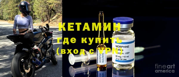 шишки Заволжье