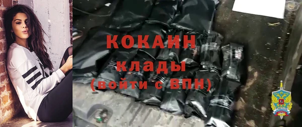 шишки Заволжье