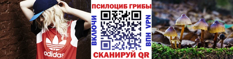 Псилоцибиновые грибы мухоморы Пикалёво