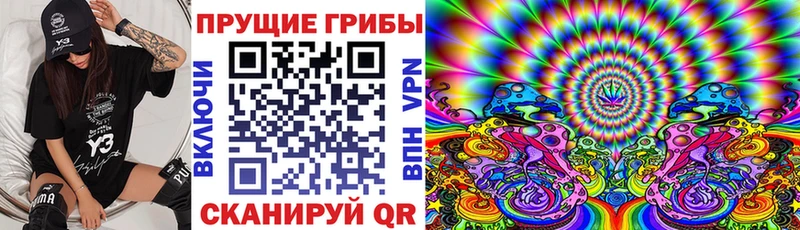 Купить закладки  Пикалёво  Галлюциногенные грибы Cubensis 